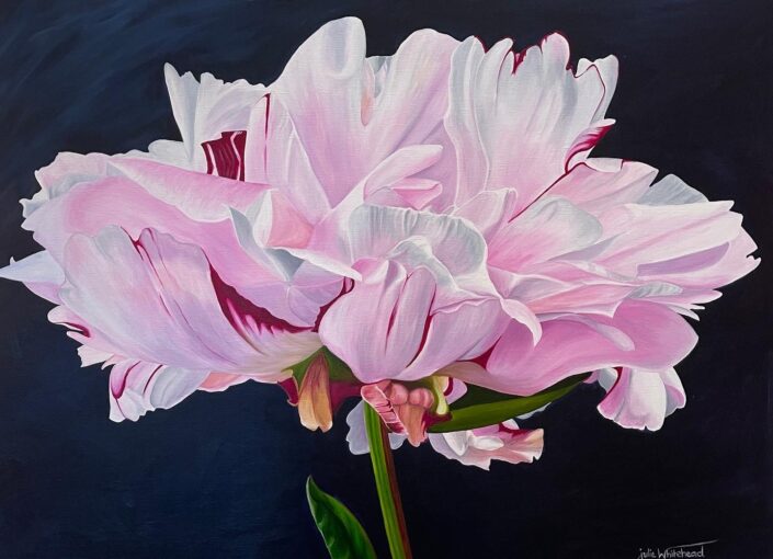 Julie Whitehead - Delicate Peony 2